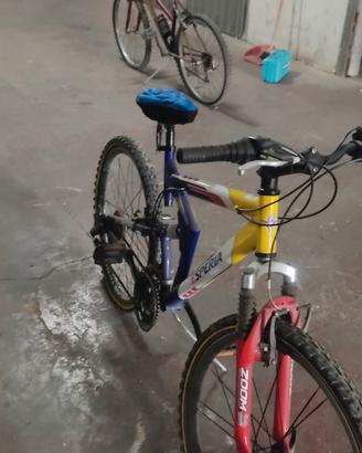 Bicicletta mountain bike marca Esperia
