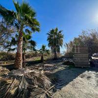 Siracusa Via Elorina | Zona Dogana Porto Grande