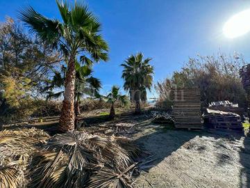 Siracusa Via Elorina | Zona Dogana Porto Grande