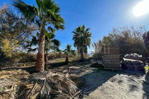 Siracusa Via Elorina | Zona Dogana Porto Grande