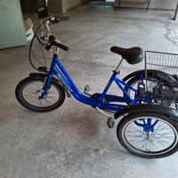 bicicletta elettrica a 3 ruote 