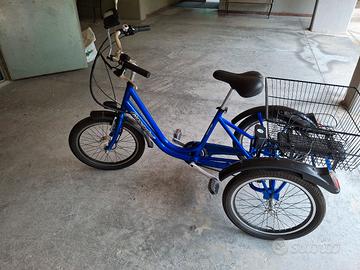 bicicletta elettrica a 3 ruote 