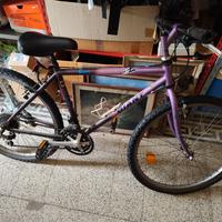 Mountain-bike 