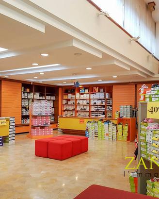 Locale commerciale - Gorizia