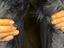 Immagine 6