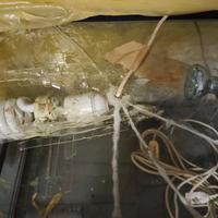 Terrario per rettili