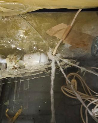 Terrario per rettili