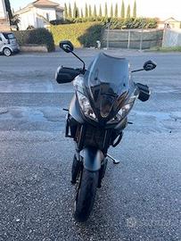 Triumph Tiger - 2019