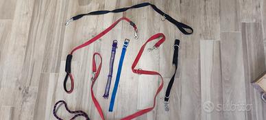 Guinzagli e collari per cani in vari colori