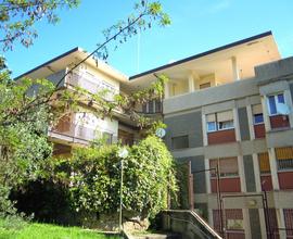 Attico/Mansarda Roma [Cod. rif 486VRG]