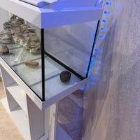 Acquario pronto per l’uso