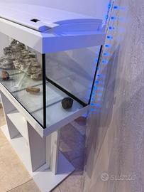 Acquario pronto per l’uso