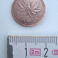 1 Cent canadese raro del 1984 – Queen Elizabeth II