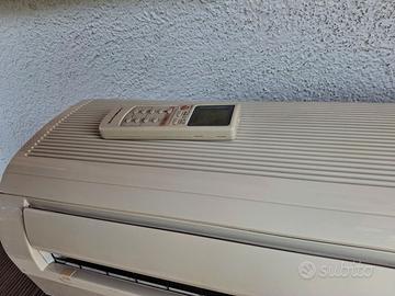 Climatizzatore 