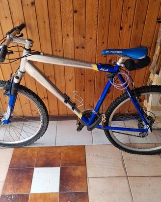 montanbike 