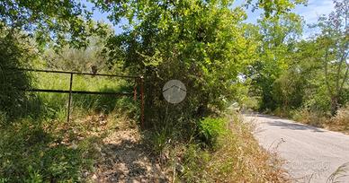 RUSTICO A AGROPOLI