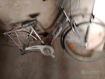 bicicletta da donna 