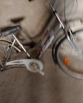 bicicletta da donna 