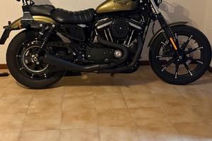 Harley 883 Iron