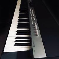 PIANOFORTE Prof. CP5 YAMAHA 88 TASTI LEGNO/AVORIO