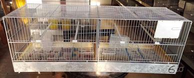 gabbia professionale cova  uccelli