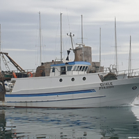 Peschereccio strascico