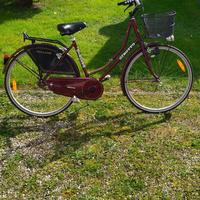 bicicletta Holland donna