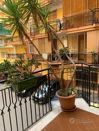 Appartamento in parco al centro