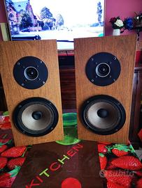 Casse acustiche satelliti Hi-Fi