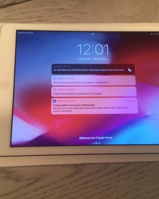 Apple Ipad air