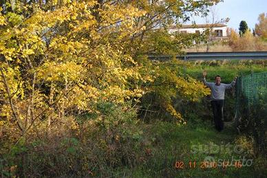 Terreno non edificabile