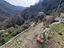 Immagine 29