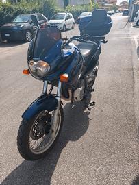 Suzuki XF650 Freewind