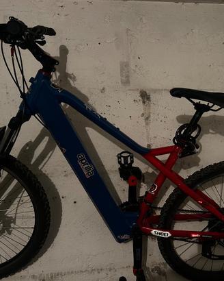 Bicicletta MTB usata