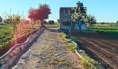 CASETTA rurale+TERRENO vista mare O.CCASION.E