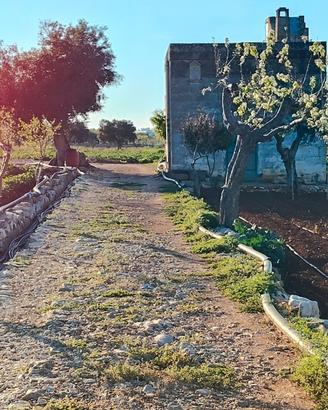 CASETTA rurale+TERRENO vista mare O.CCASION.E