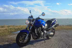 Honda Hornet 900 - 2006