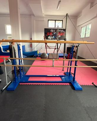 Parallele simmetriche ginnastica artistica