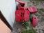 Immagine 5
