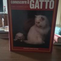 conoscere il gatto 