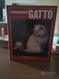 conoscere il gatto 
