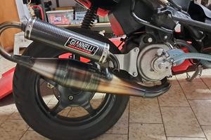 Gianelli Shot v4