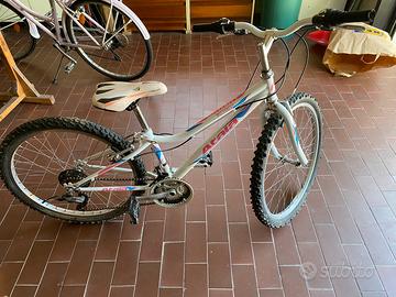 Bicletta