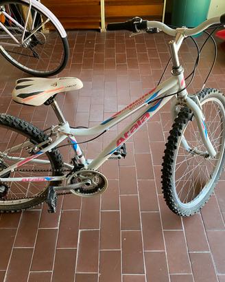 Bicletta
