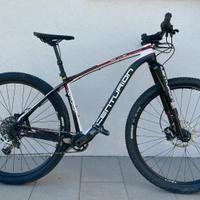 MTB in carbonio - ruote 29 pollici