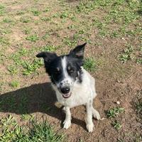 Paride ha compiuto 6 anni a San Valentino