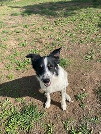 Paride ha compiuto 6 anni a San Valentino