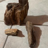 Fossili