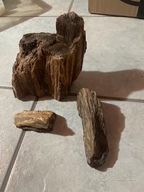 Fossili