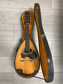Mandolino Suzuki M30 con custodia rigida
